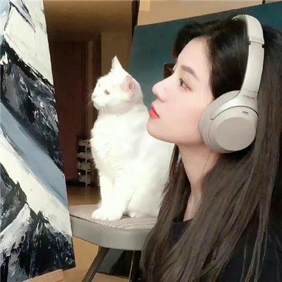 星梦泪痕